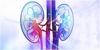 Thymosin Alpha-1 peptide vial at MedLounge San Ramon used for immune support, recovery, and inflammation balance